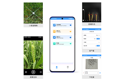 南通市小麦亩穗数测量仪IN-XM01