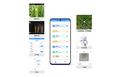 南通市小麦表型检测仪IN-XM04